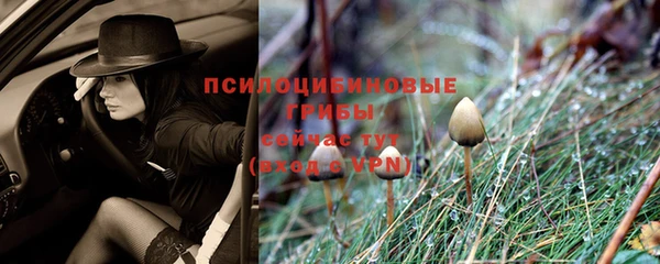 трава Сафоново
