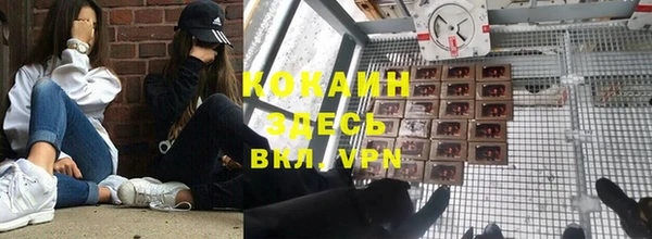 мяу мяу мука Бородино