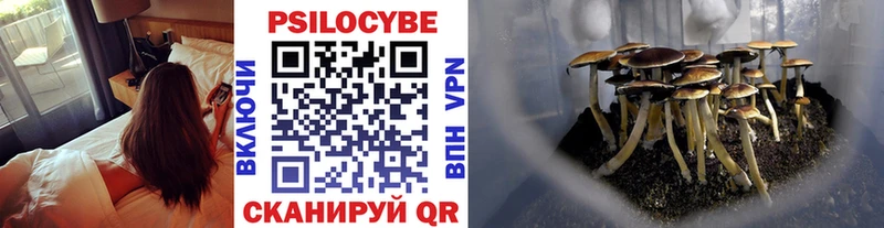 Галлюциногенные грибы мухоморы  blacksprut ссылки  Киреевск 